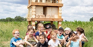 Schafe auf der Streuobstwiese Oppau