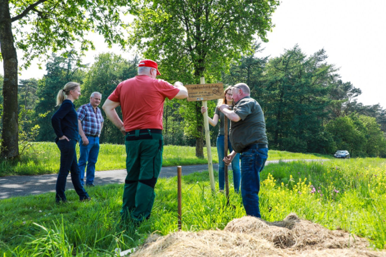  2024 05 20 Blühstreifen Werpeloh zum Jubiläum_Website_Folgeseite unten-Bild 1-600x400.jpg