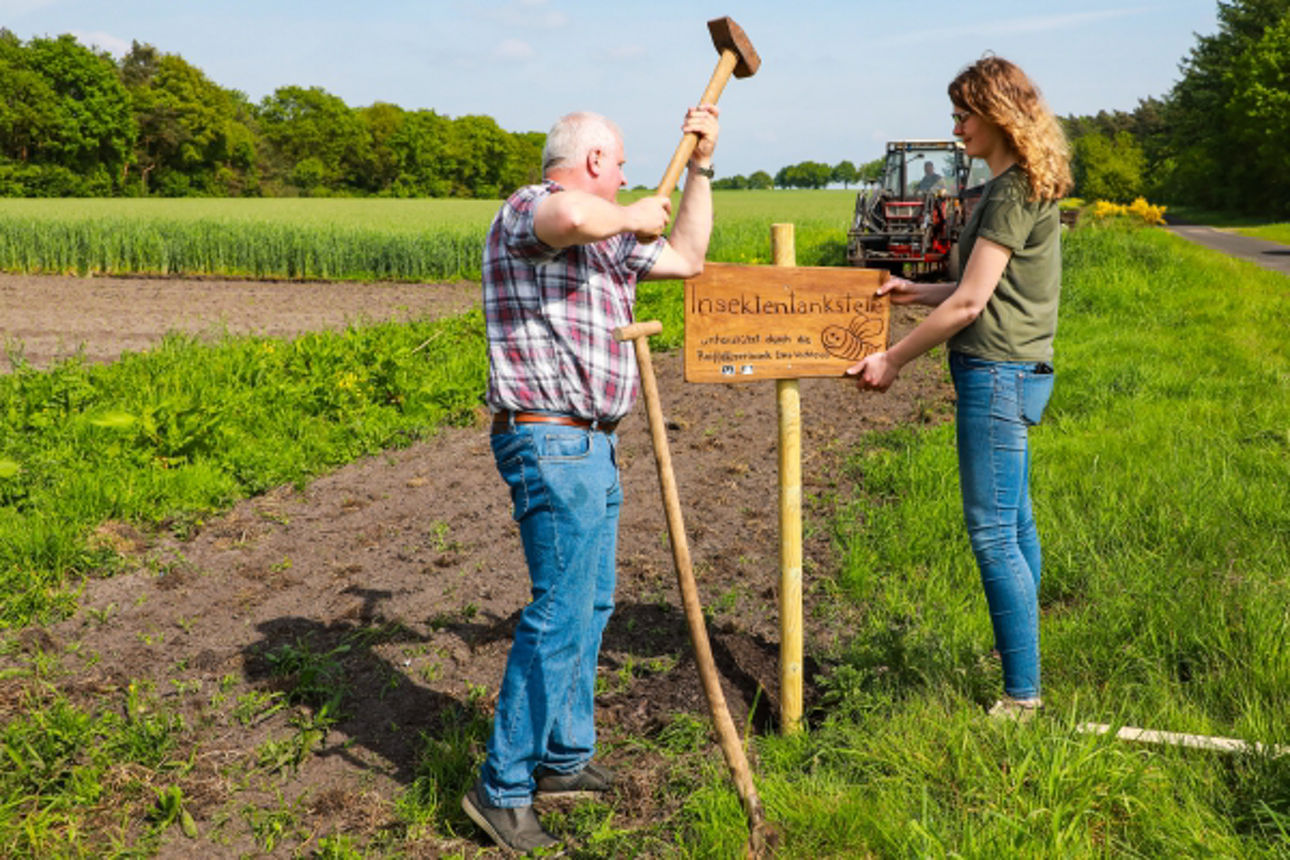  2024 05 20 Blühstreifen Werpeloh zum Jubiläum_Website_Folgeseite unten-Bild 2-600x400.jpg