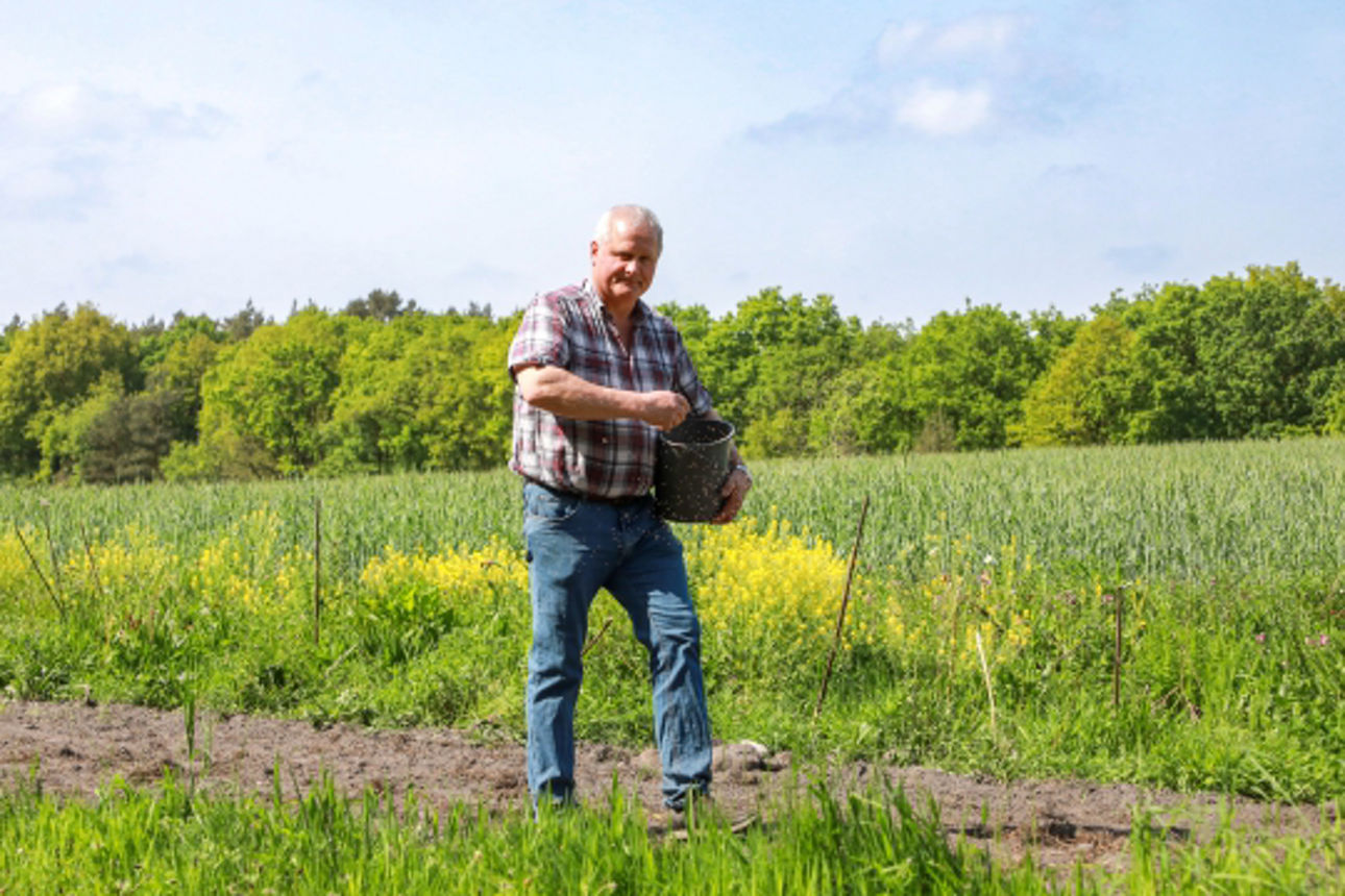  2024 05 20 Blühstreifen Werpeloh zum Jubiläum_Website_Folgeseite unten-Bild 4-600x400.jpg