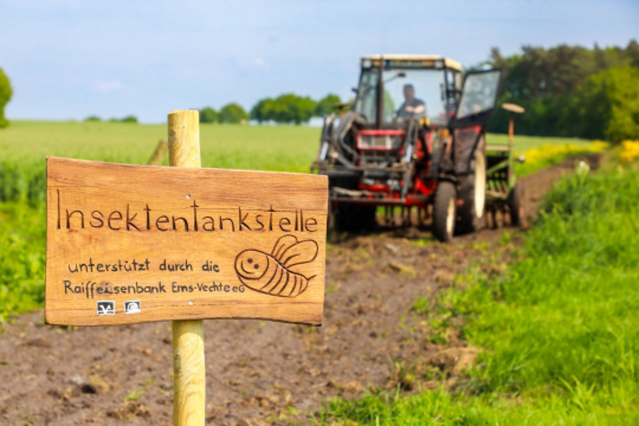  2024 05 20 Blühstreifen Werpeloh zum Jubiläum_Website_Folgeseite unten-Bild 8-600x400.jpg