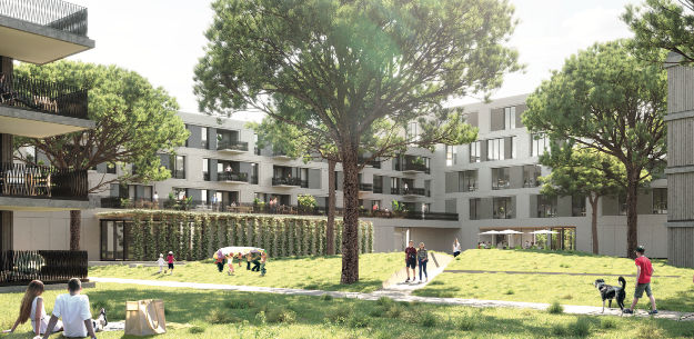 Bild Garten