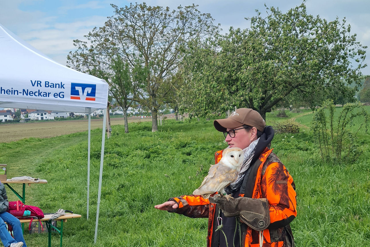 Falknerin mit Eule