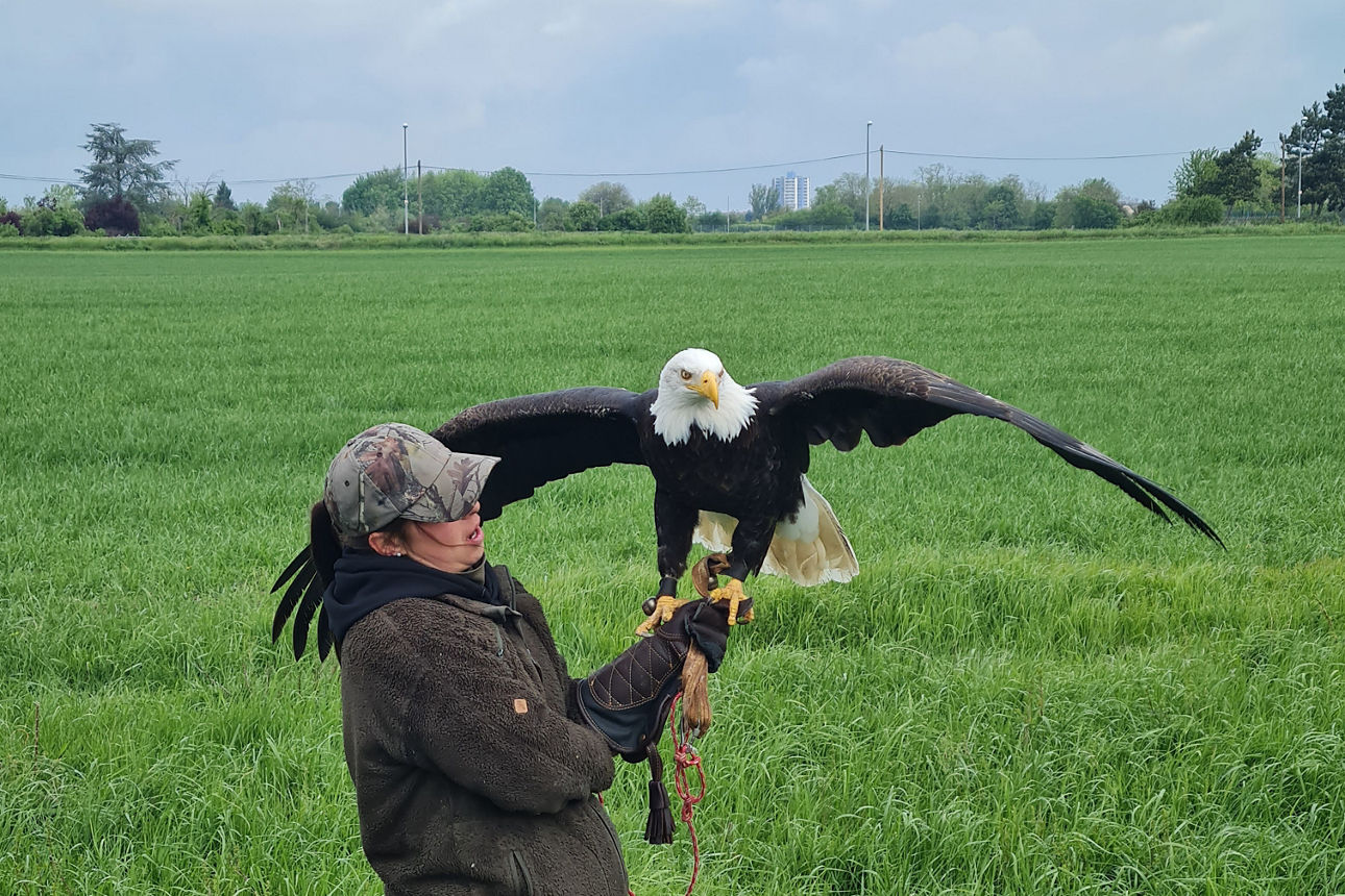 Falknerin mit Adler