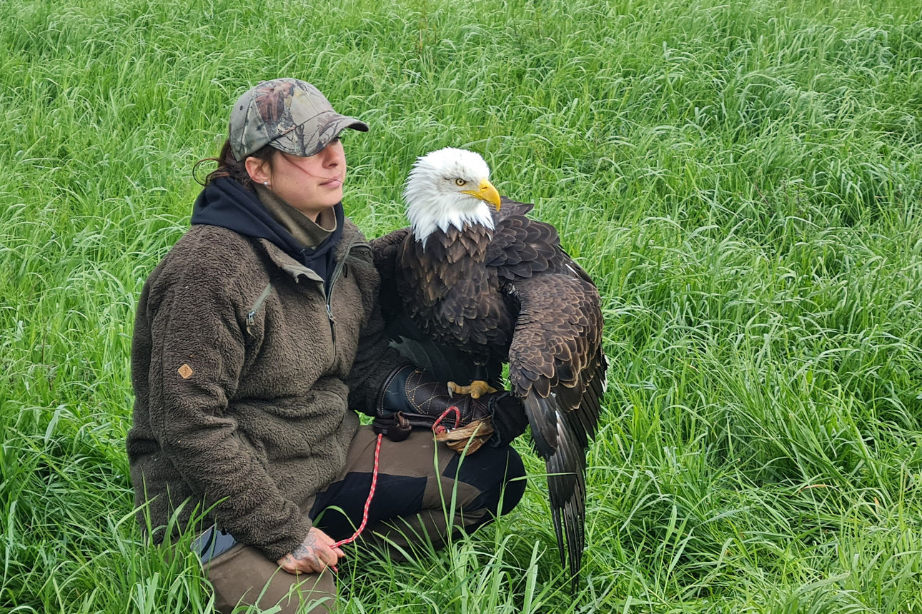 Falknerin mit Adler