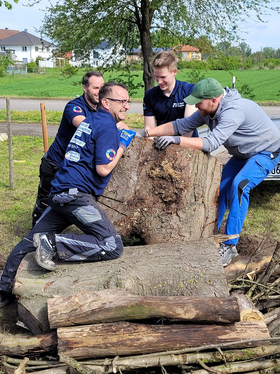 4 Männer zerren angestrengt an einem Baumstumpf