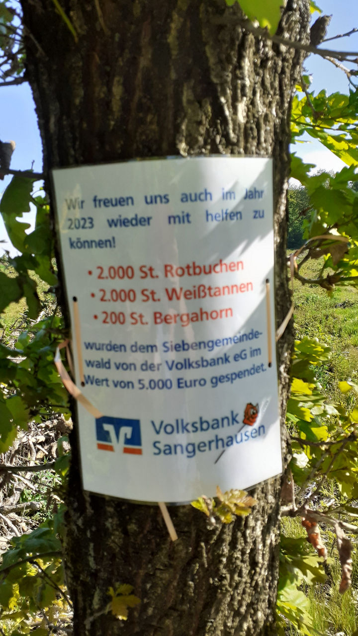 Plakat an einem Baum