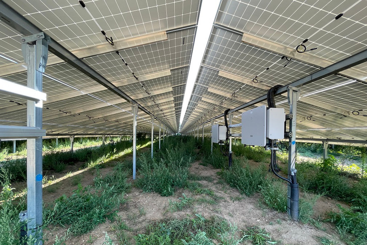 Photovoltaik-Module auf dem Firmengelände