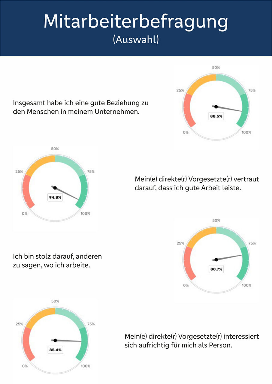 Ein Umfrageergebnis in Form von vier Kreisdiagrammen, die jeweils eine andere Frage und deren Antwort darstellen