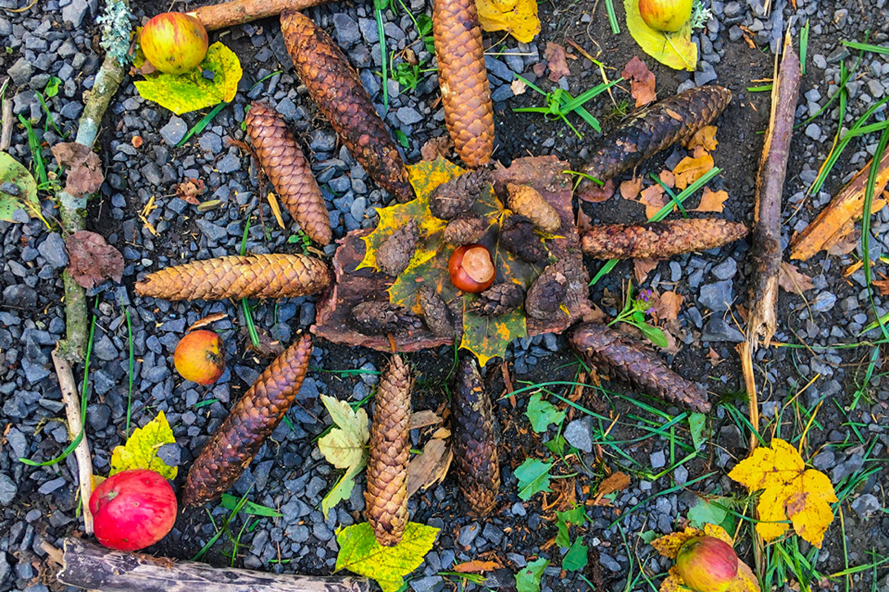 Kinder entdecken den Wald - unser Waldmandala 2024