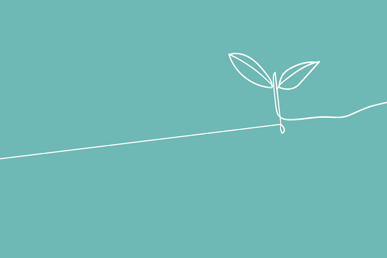Illustration einer Pflanze