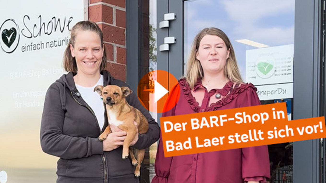 MeinPlus Partner des Monats