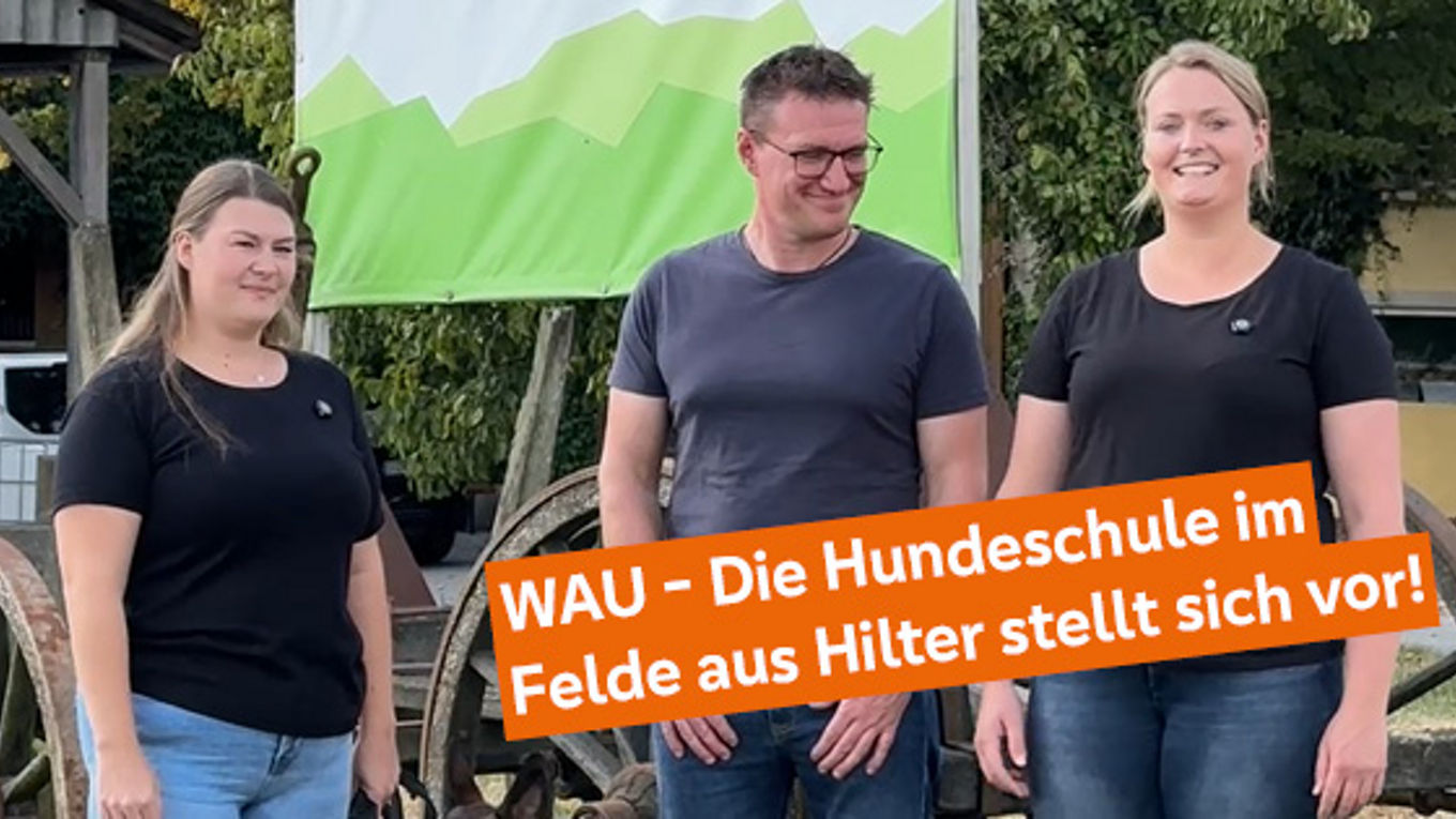 MeinPlus Partner des Monats September
