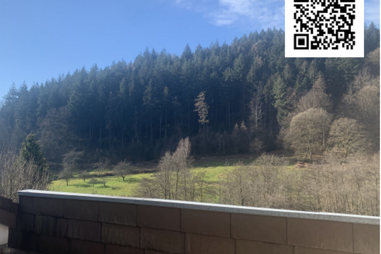 Bild Dachterrasse mit Blcik auf den Wald