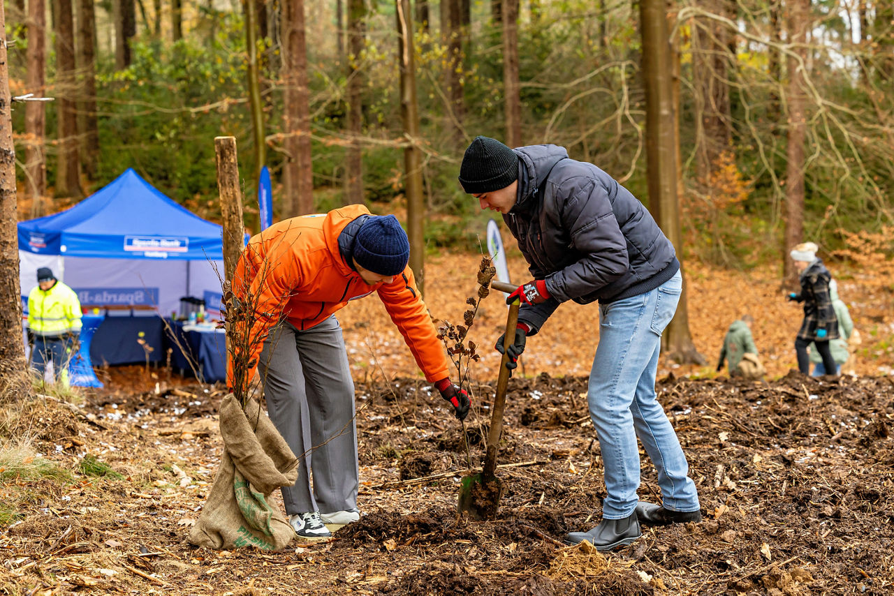 Spende an die Schutzgemeinschaft Deutscher Wald im Bereich Umwelt