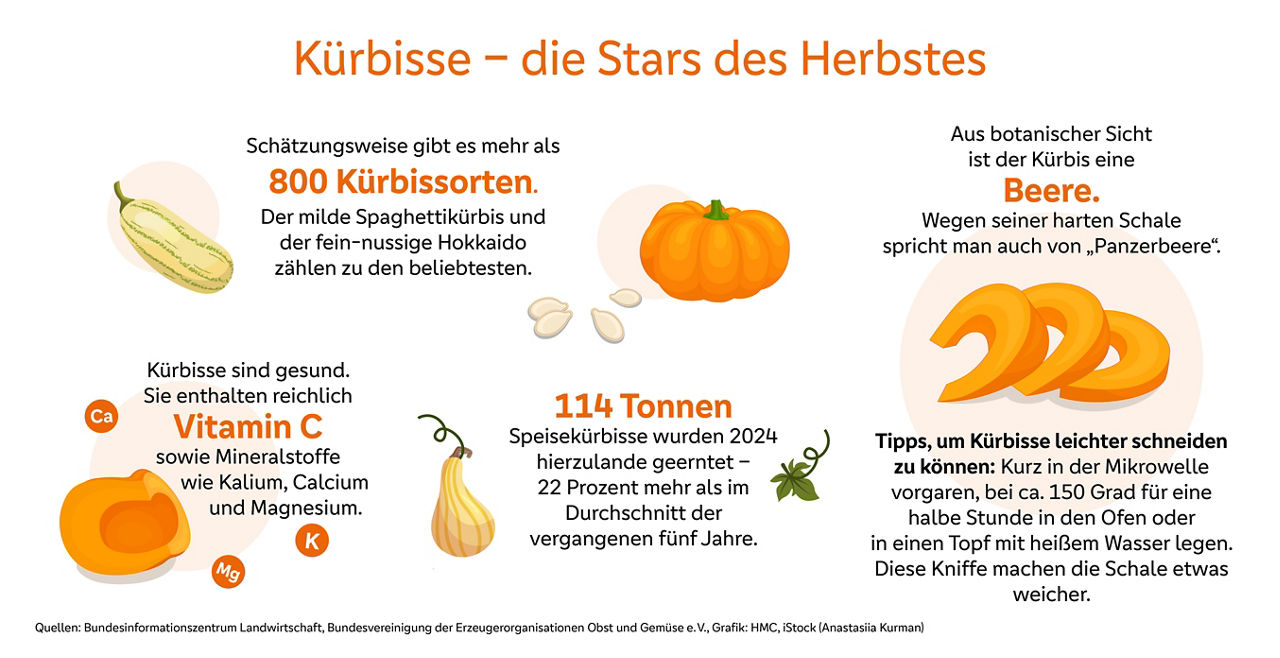 Grafische Übersicht mit verschiedenen Informationen über Kürbisse