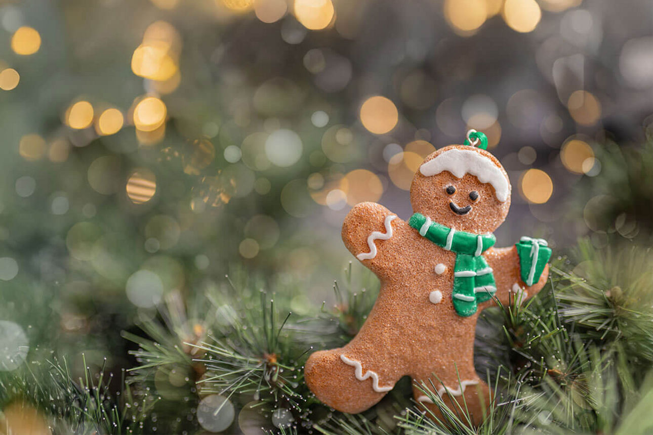 Lebkuchenmann mit grünem Schal hängt im Tannenbaum