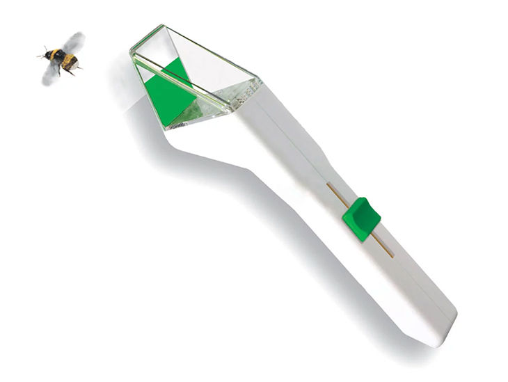 Der Insektenfänger Snapy