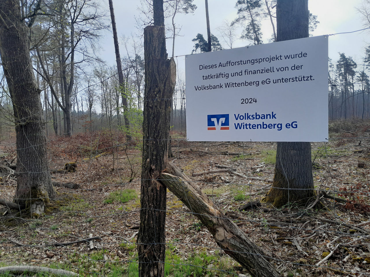 Aufforstungsbild mit Unterstützerschild der Bank