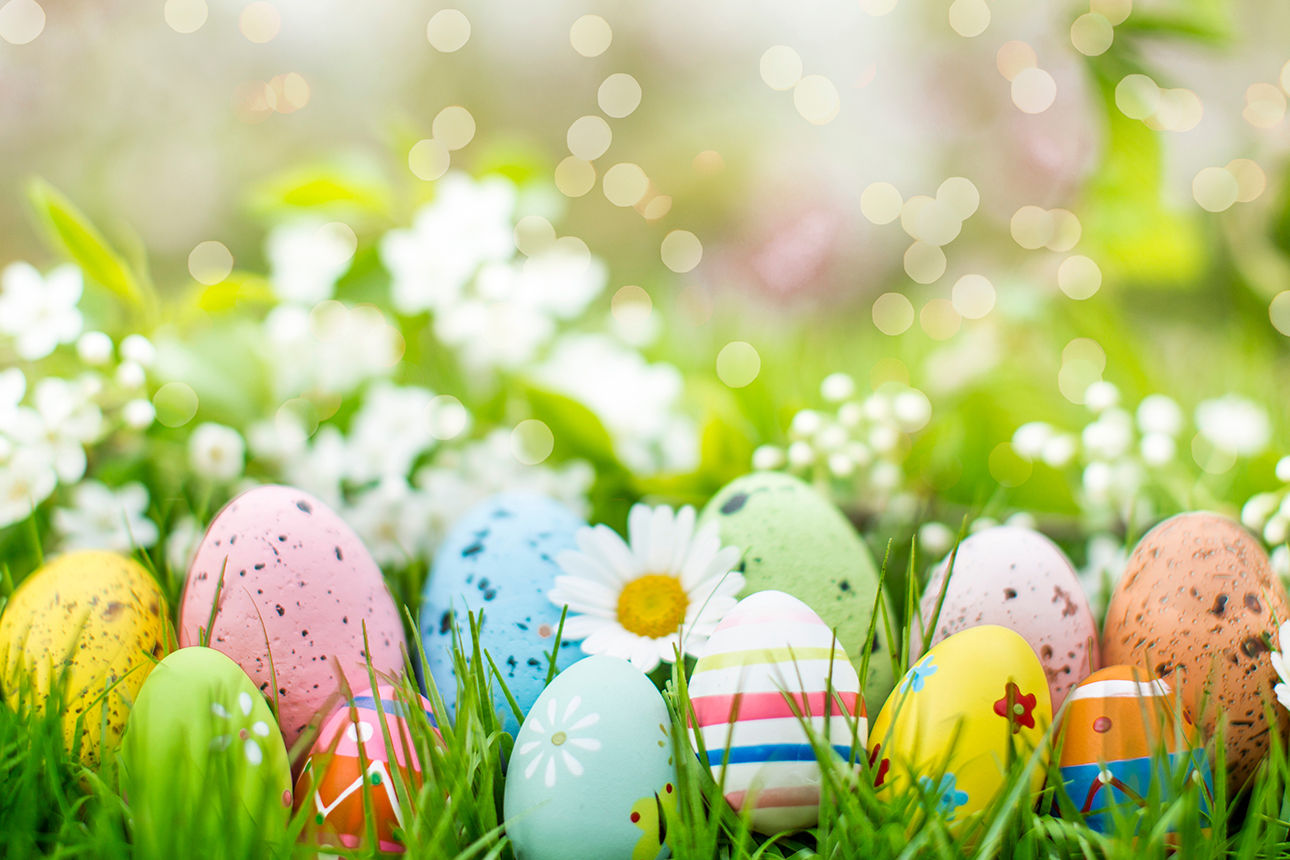 Ostereier in einer Wiese