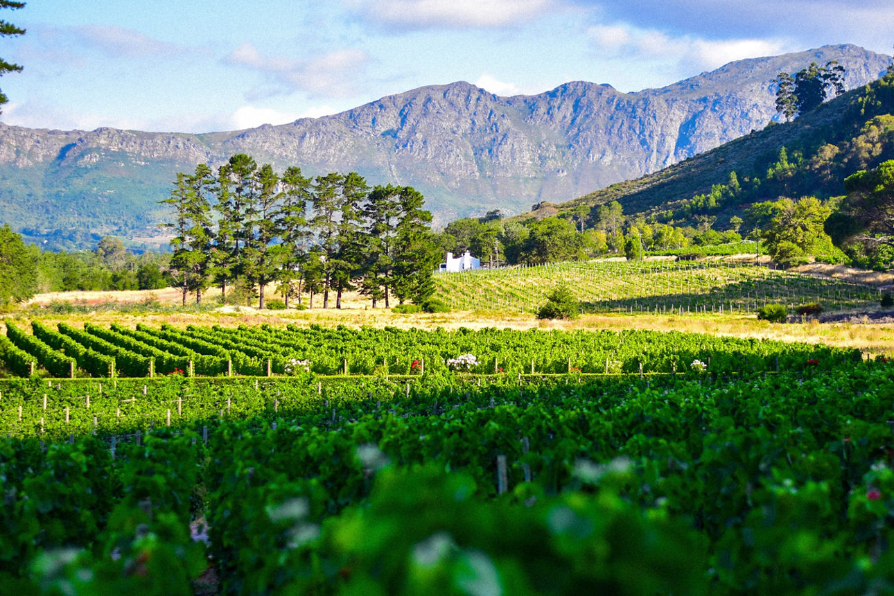 Südafrika © RV Touristik GmbH