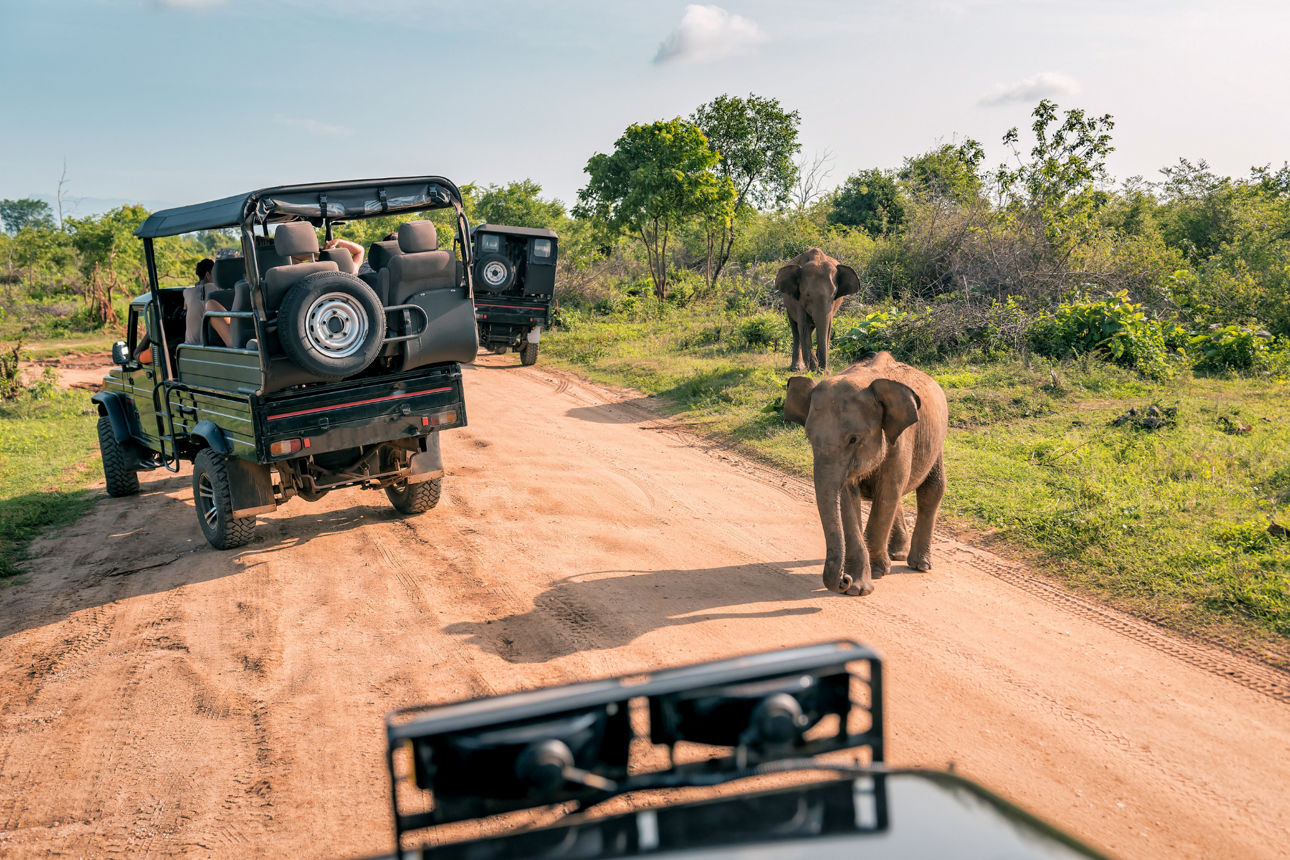 Südafrika Safari © RV Touristik GmbH