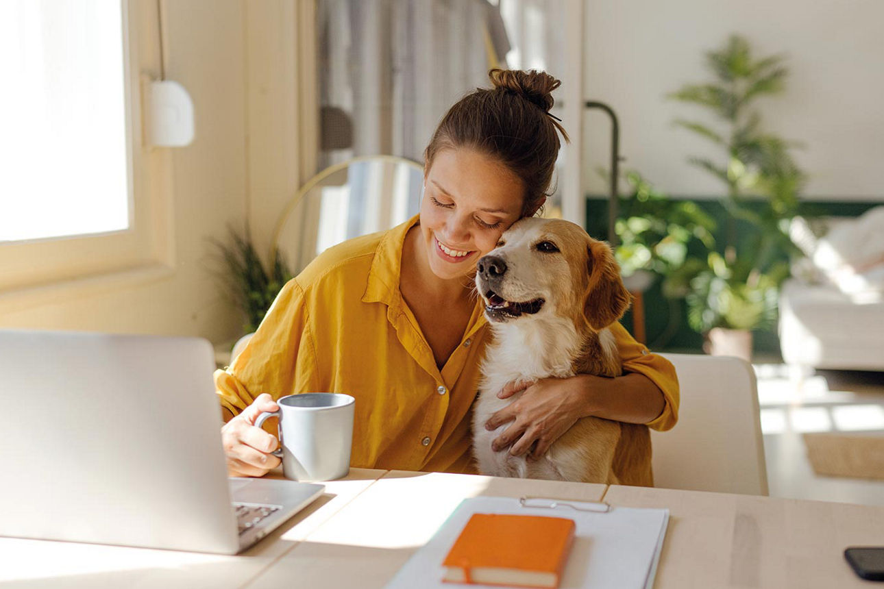 Junge Frau im gelben Oberteil sitzt mit ihrem Hund vor Laptop