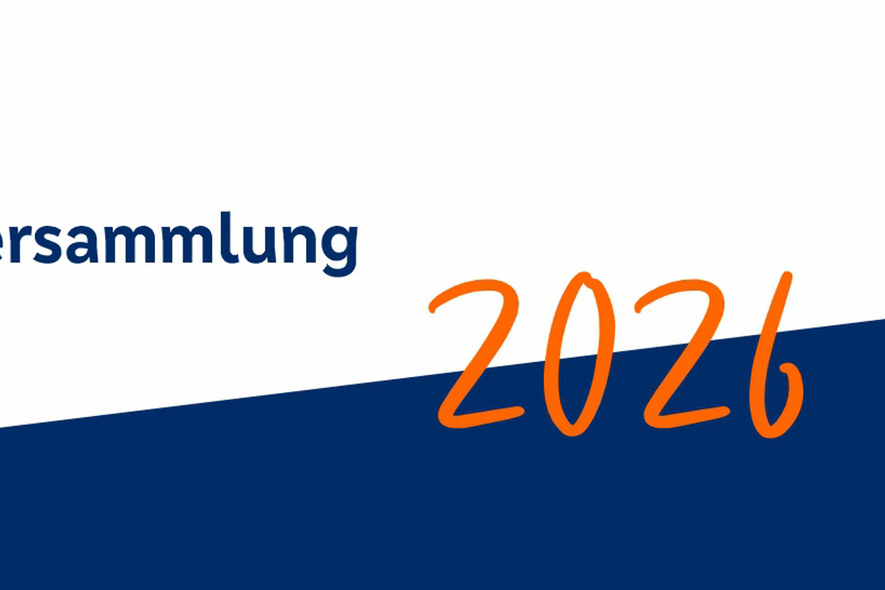 Tagesordnung zur außerordentlichen Vertreterversammlung