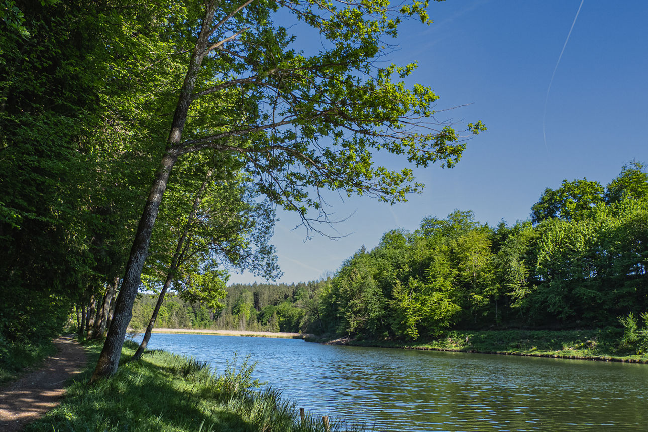 Wanderung - Foto: © Katja Pohl (Wand, Weg und Weiher)