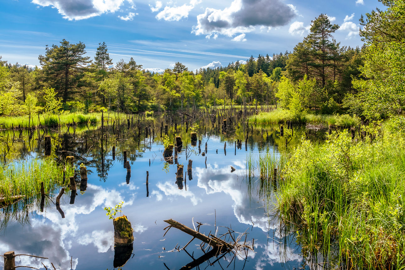 Foto: © Andy Ilmberger  (Weiher mit Himmelsspiegelung)
