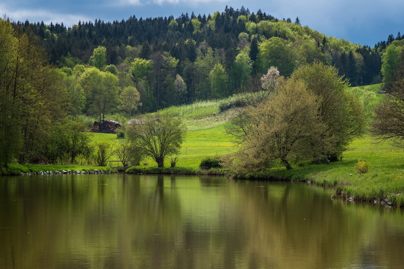 Wanderung - Foto: © Rainer Kiefer (Weiher mit Bäumen)