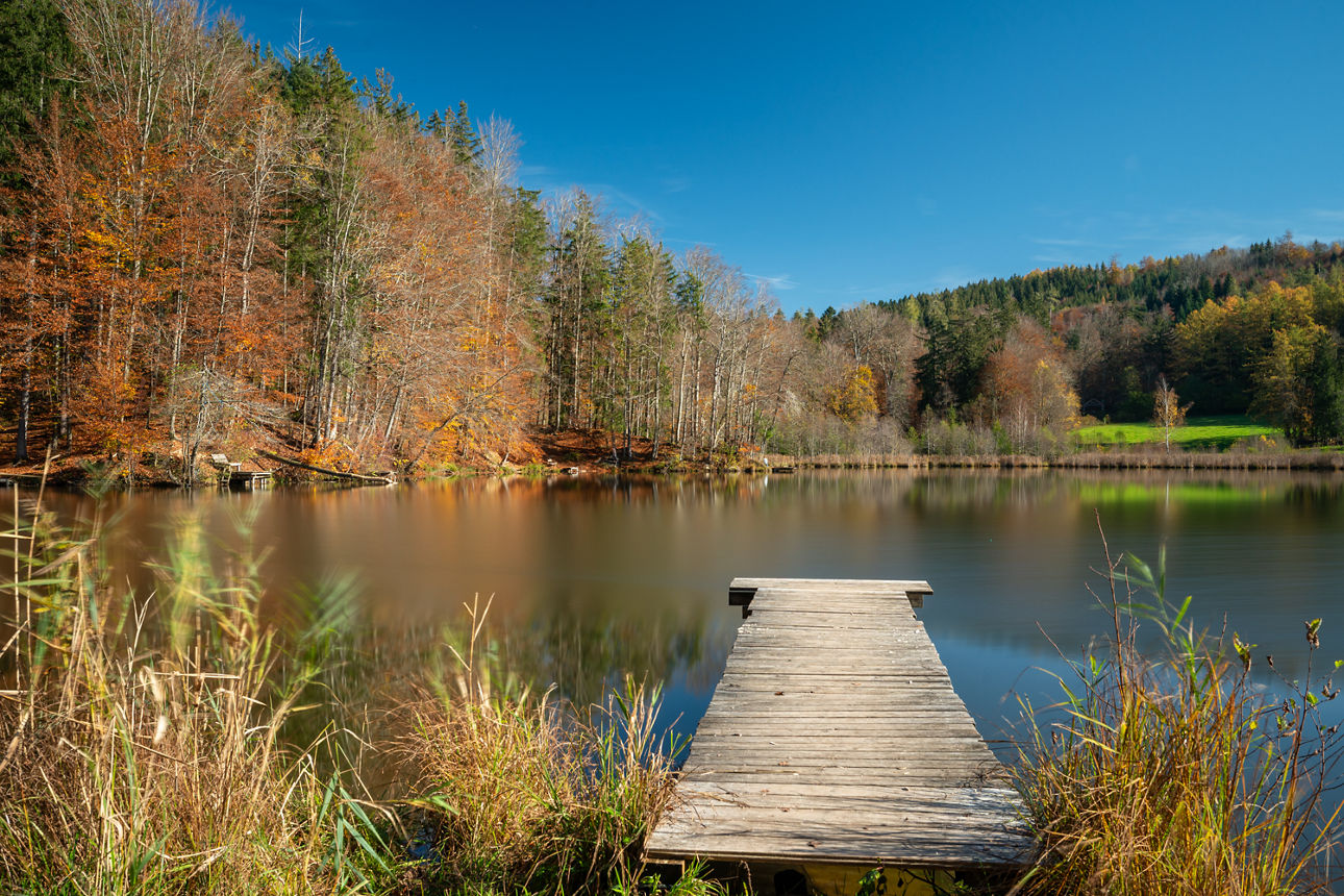 Wanderung - Foto: © Tom Hirschmann  (Waldweiher mit Steg)