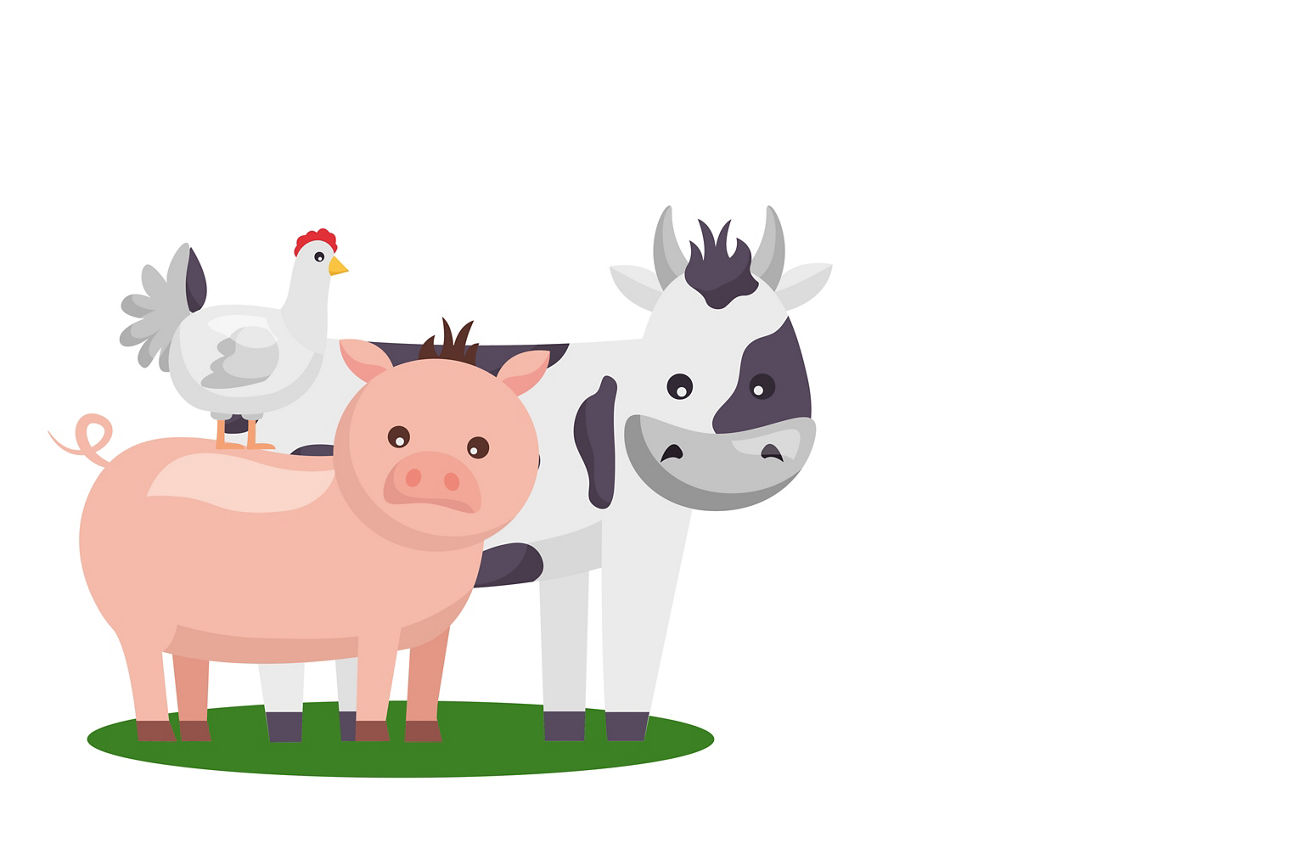 Kuh_Schwein_Huhn