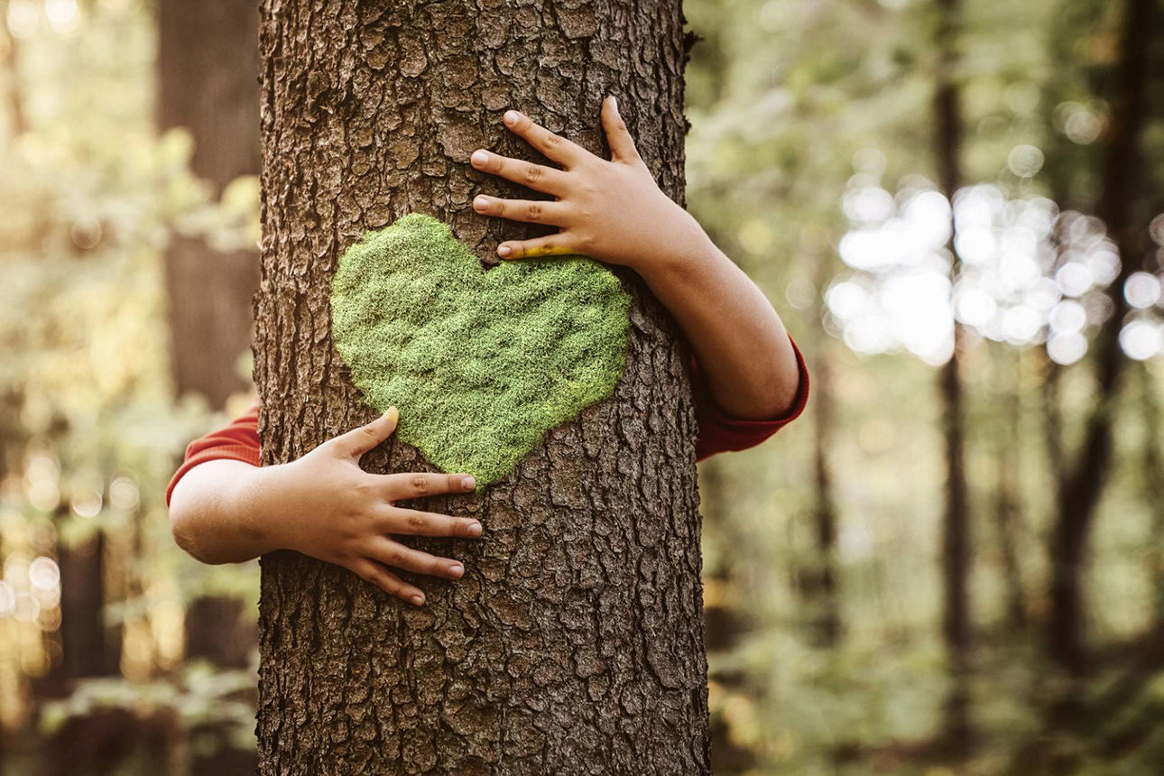 Hr manager headhunter greeting female vacancy candidate applicant people sitting at modern office table shaking hands start job interview. Company client and agent handshaking begin formal meeting