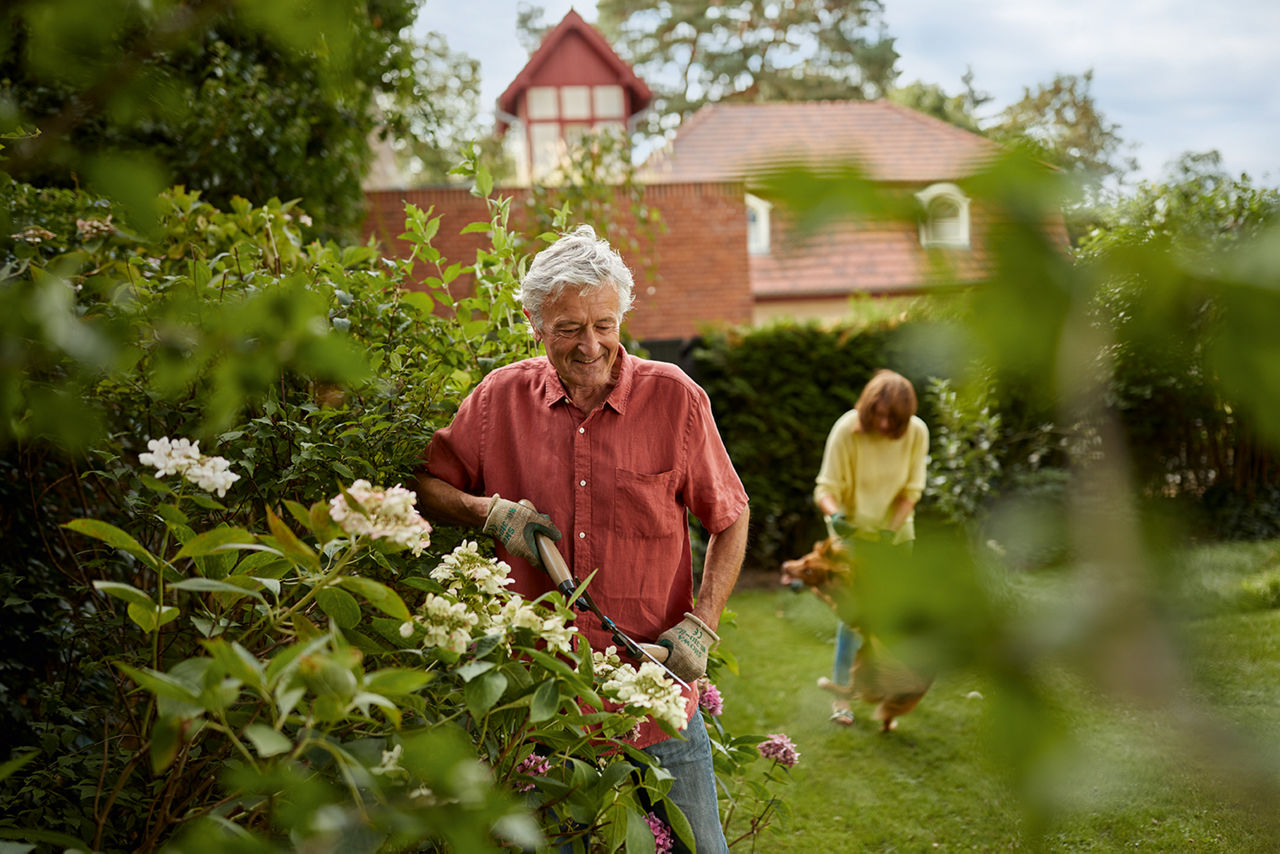 Altes Ehepaar arbeitet im Garten