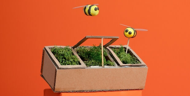 Oranger Hingergrund mit symbolisch abgebildetem Hochbeet und zwei Bienen.