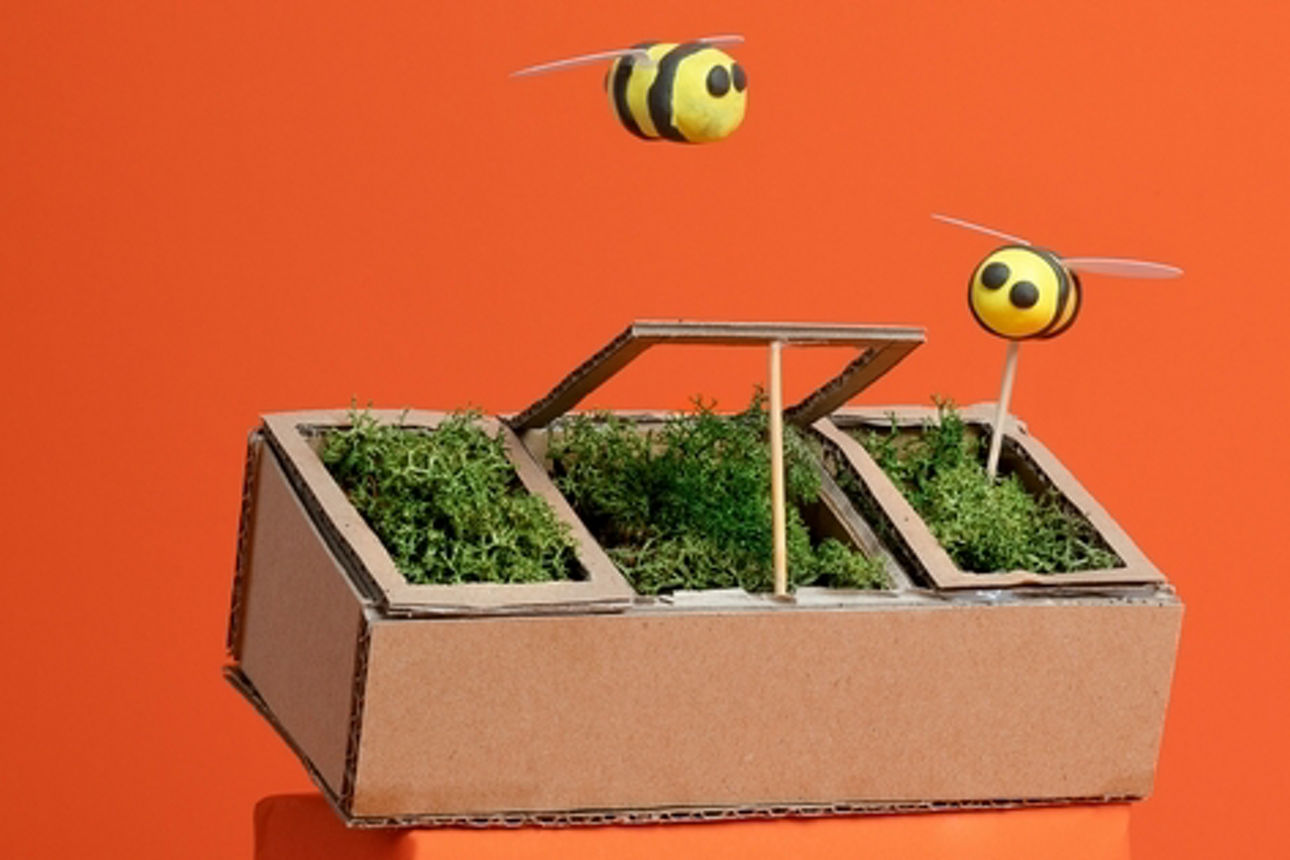 Oranger Hingergrund mit symbolisch abgebildetem Hochbeet und zwei Bienen.
