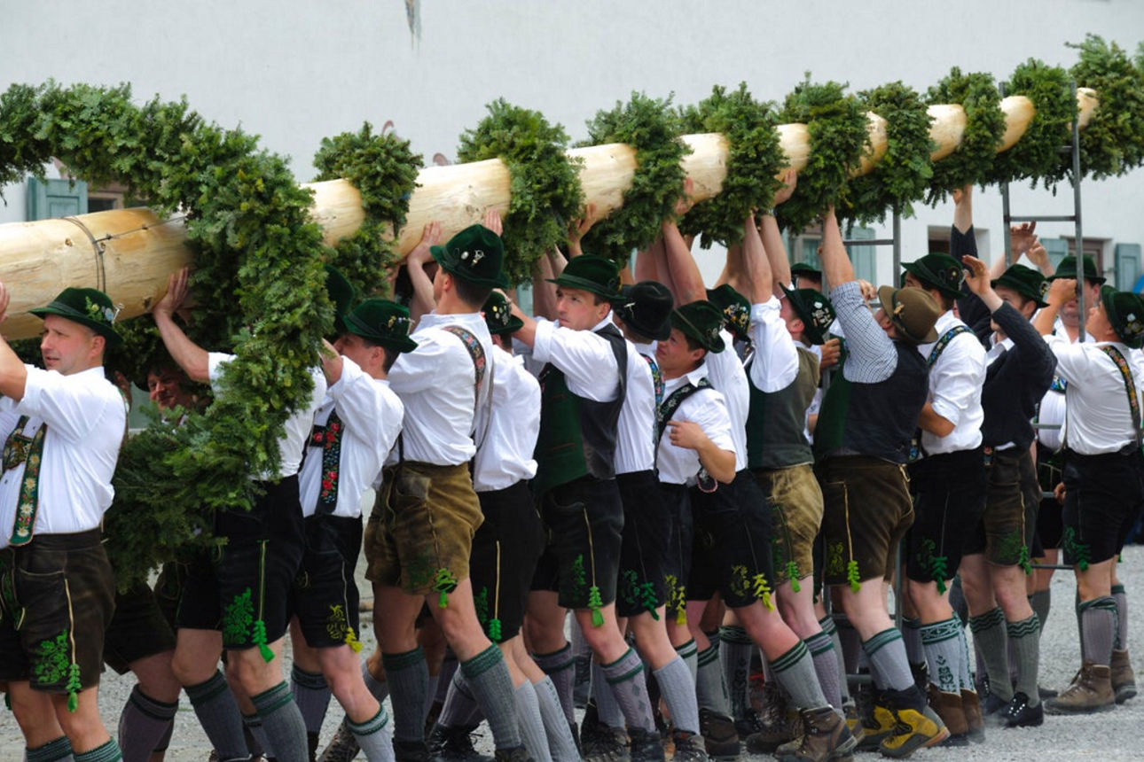 Eine Gruppe von Männern in traditioneller Tracht hebt gemeinsam einen mit grünem Schmuck verzierten Maibaum.