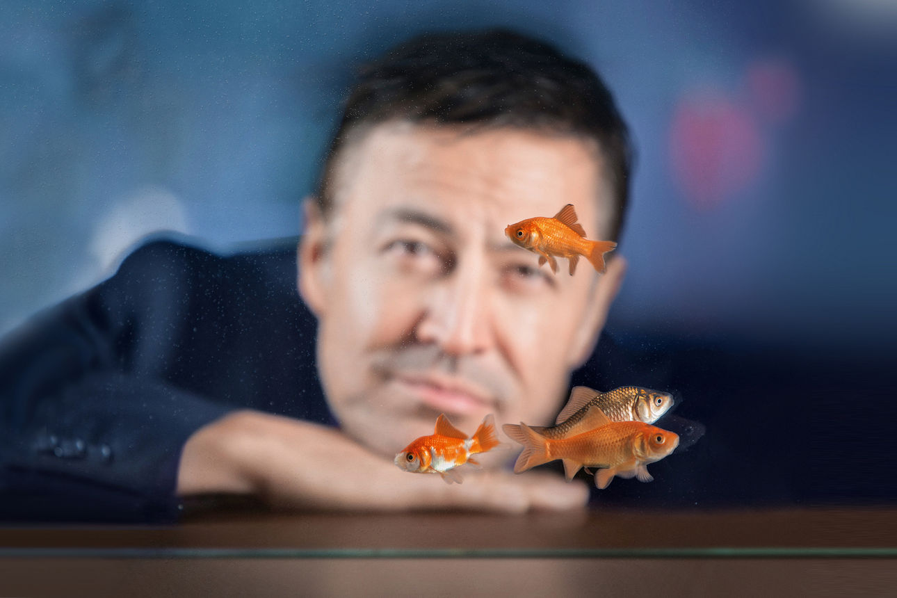 Ein Mann betrachtet Goldfische