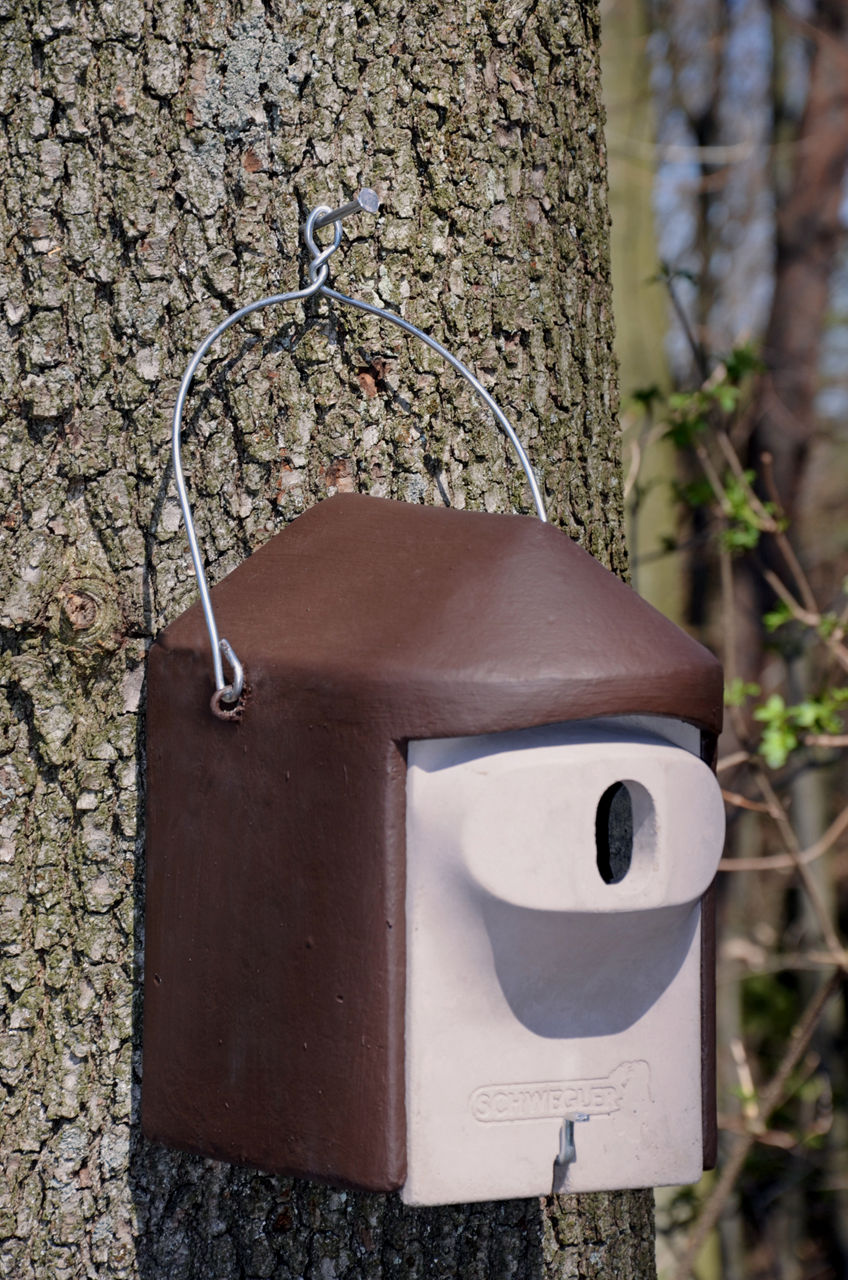 Ein braun-weißes Vogelhäuschen wird auf einen Baumstamm montiert