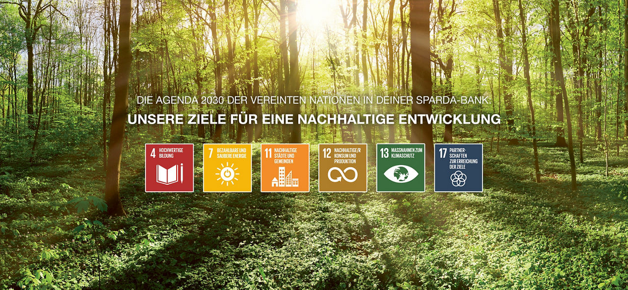 Ein Wald, davor die 6 SDG-Icons