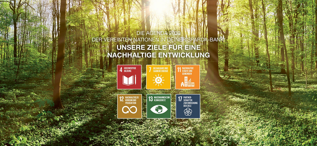 Wald, davor 6 SDG-Icons
