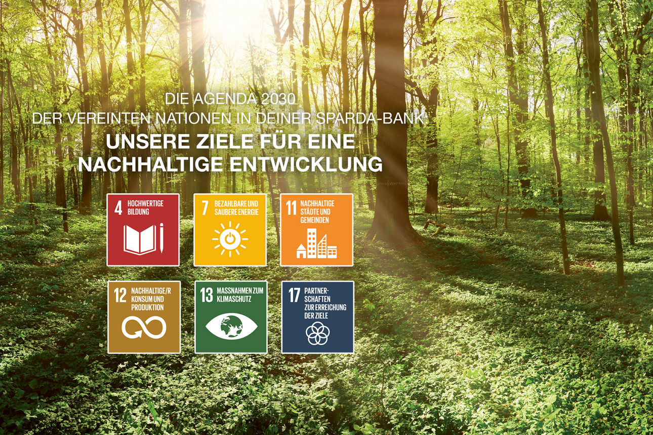 Wald, davor 6 SDG-Icons
