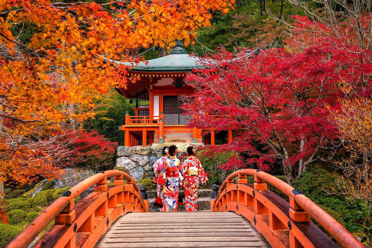 Blick auf eine Brücke und kleinem Tempel in Japan im Herbst