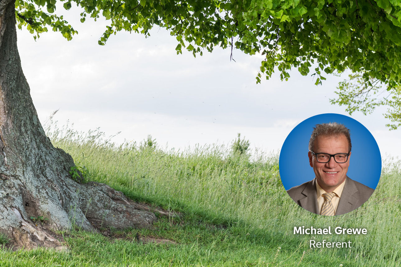 Ein großer, alter Baum mit grünem Laub. Unten rechts ein Porträt von Michael Grewe mit der Bezeichnung „Referent“.