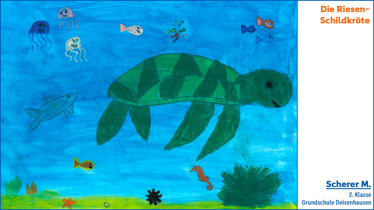 Die Riesen-Schildkröte