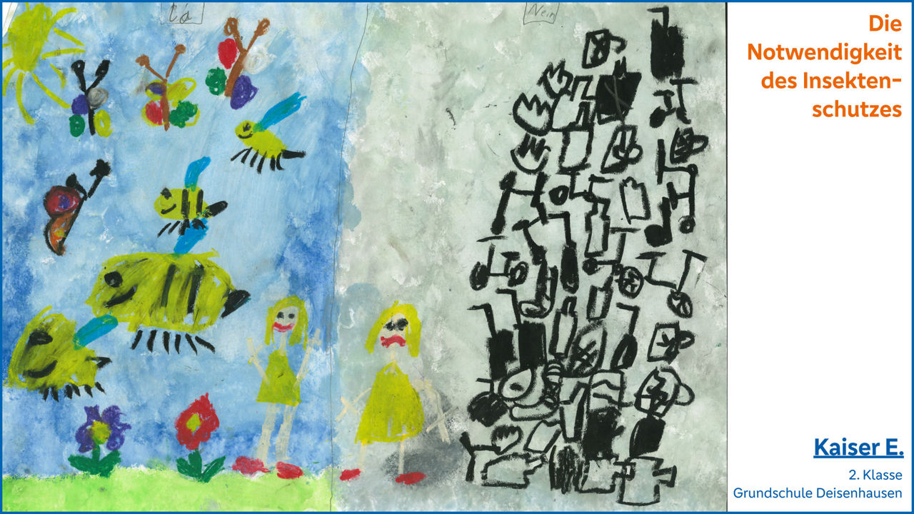 Die Notwendigkeit des Insektenschutzes
