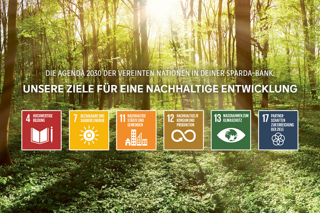 Wald, davor 6 SDG-Icons