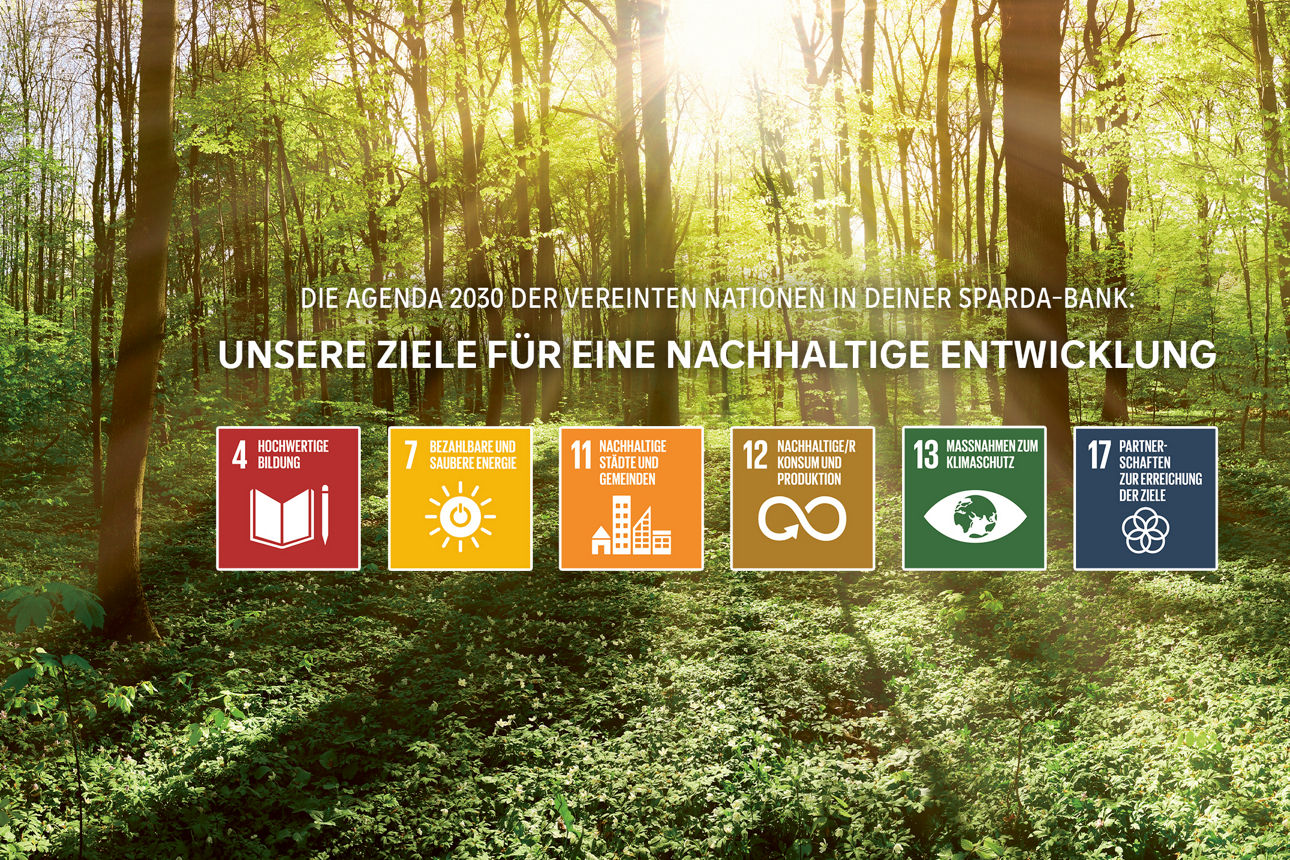 Ein Wald mit Sonne im Hintergrund, vorne verschiedene Icons zu den Nachhaltigkeitszielen