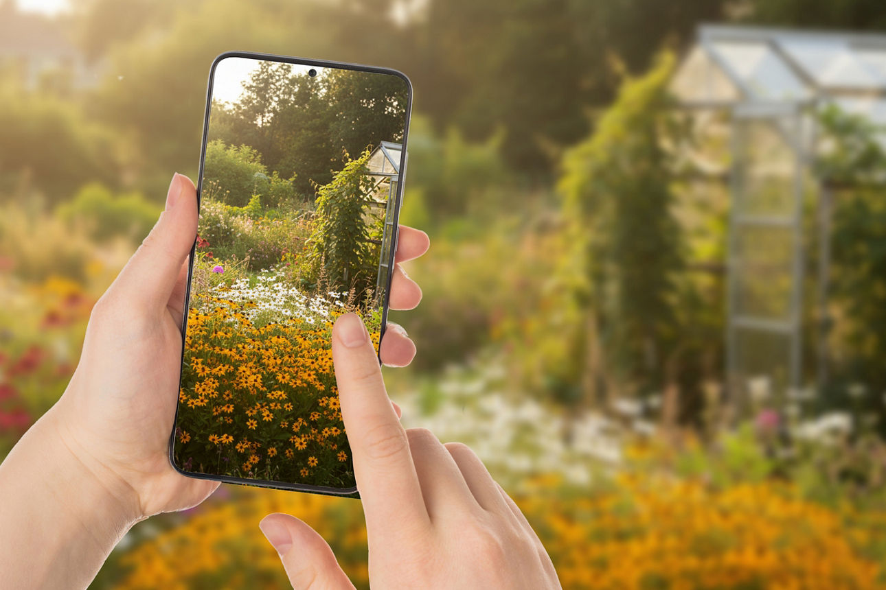 Zwei Hände halten ein Smartphone und fotografieren einen naturnahen Garten